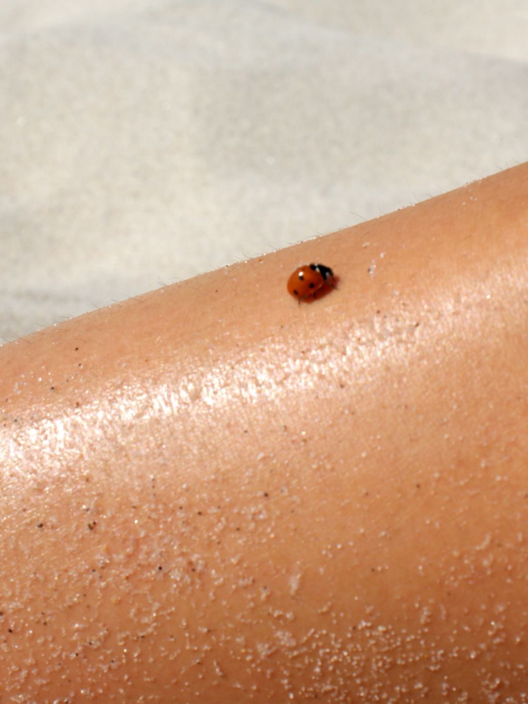 UV facts & skin checks